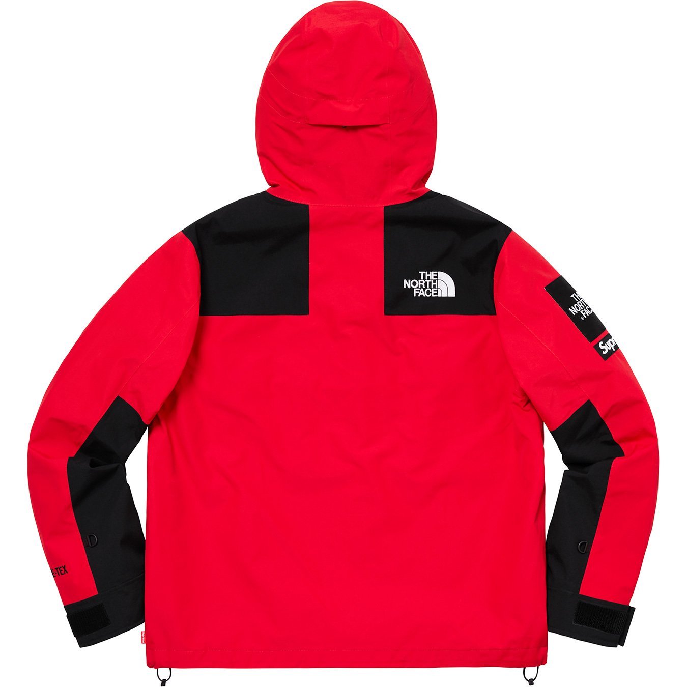 Supreme The North Face Arc Logo Mountain Parka Red
