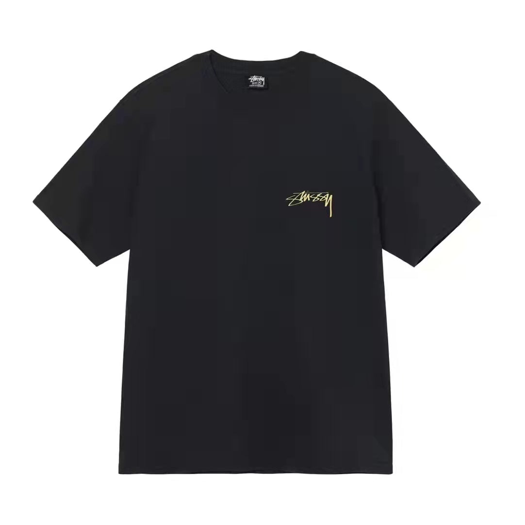 STUSSY STATUE PIG. DYED TEE