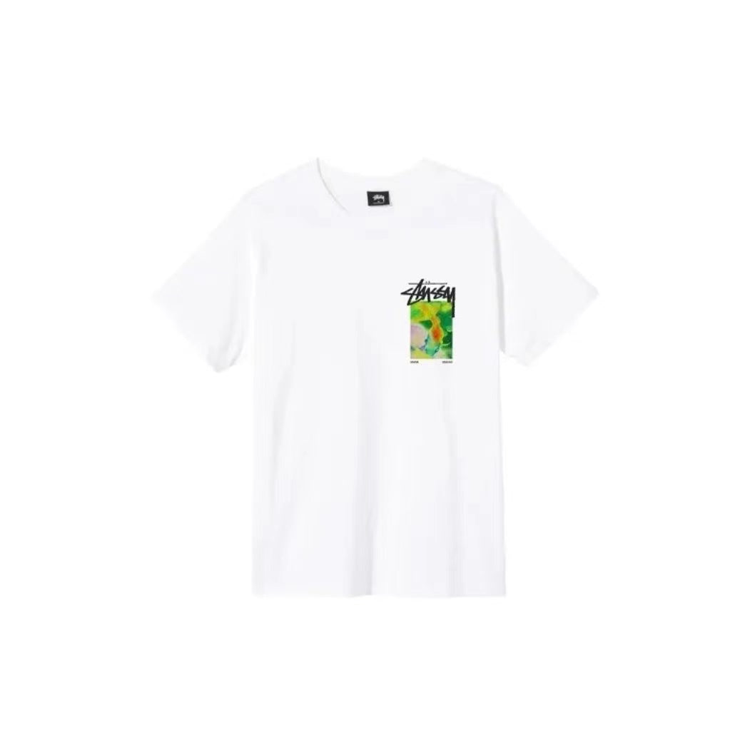 STUSSY STONEHENGE PRINT TEE WHITE