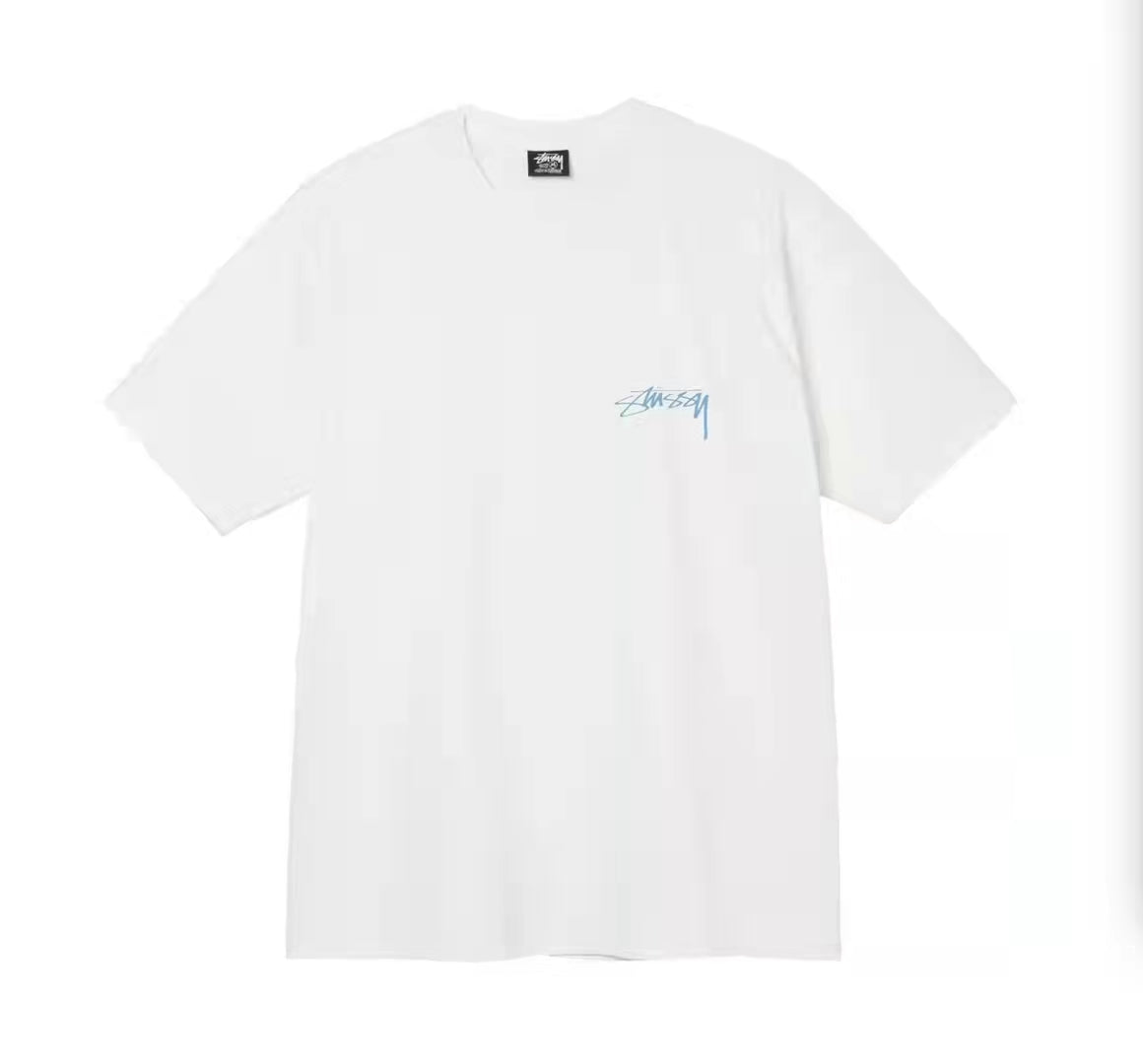 STUSSY STATUE PIG. DYED TEE