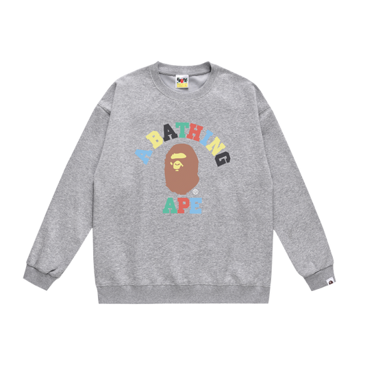 A Bathing Ape Rainbow Letters Hoodie Grey