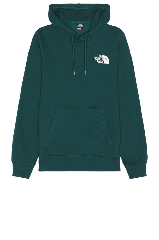 The North Face Printed Box NSE Hoodie