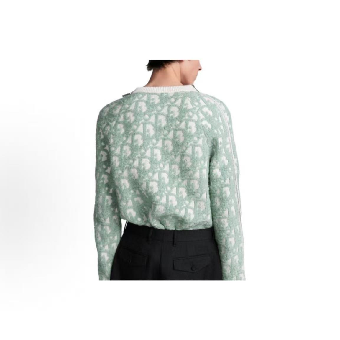DIOR (Dior) FW24 Letter Logo Printed Round-neck Long-sleeved Knit Shirt for Men in Light Green