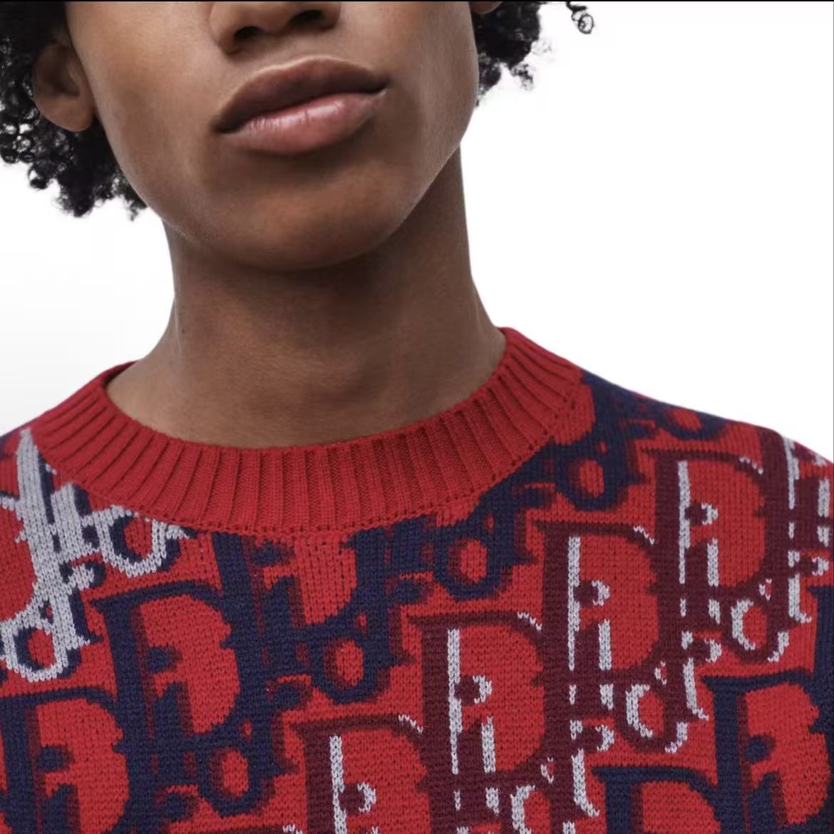 DIOR (Dior) OBLIQUE SS26 Summer Collection - Wool jacquard ribbed round-neck printed long-sleeved sweater for men