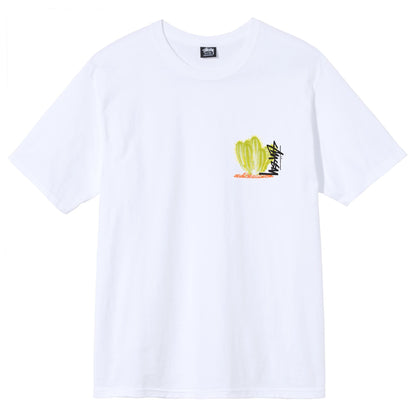 STUSSY DESERTBLOOM TEE
