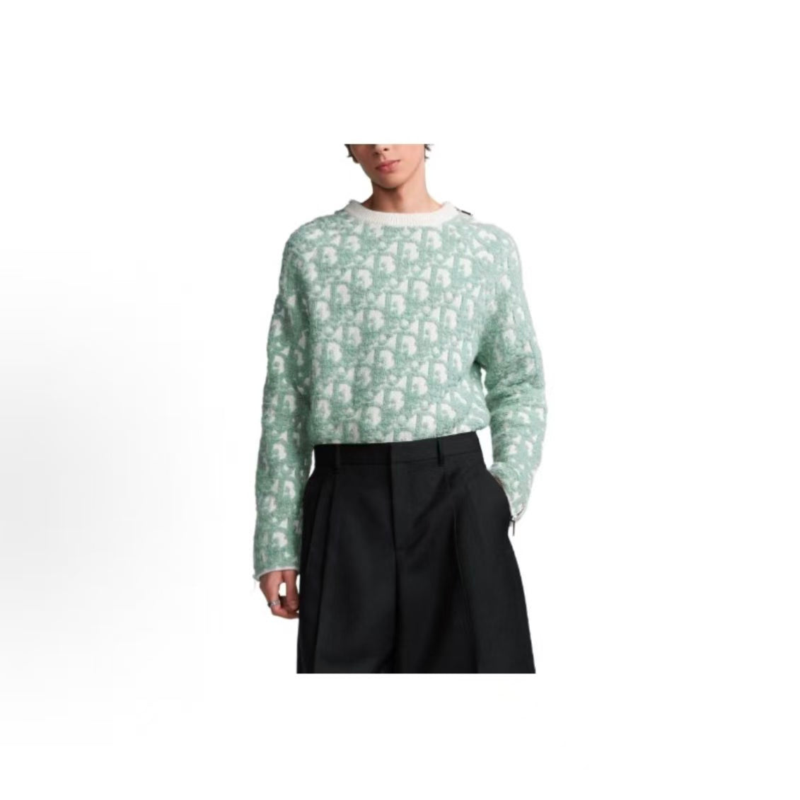 DIOR (Dior) FW24 Letter Logo Printed Round-neck Long-sleeved Knit Shirt for Men in Light Green
