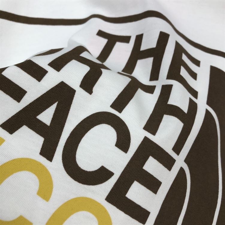 THE NORTH FACE X GUCCI OVERSIZE T-SHIRT IN WHITE – GGS001