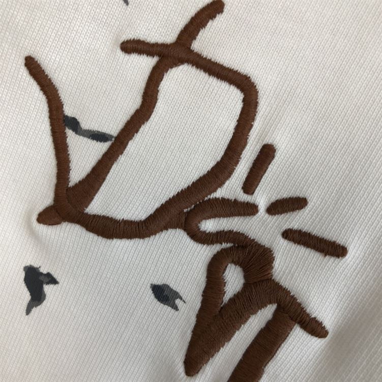 DIOR OVERSIZED CACTUS JACK DIOR T-SHIRT – DOT012