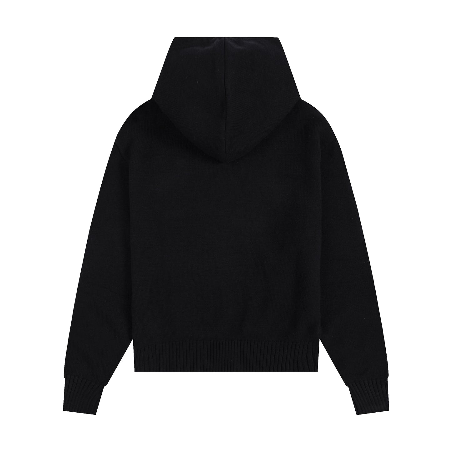 AMI Big Logo Hooded Sweater Black