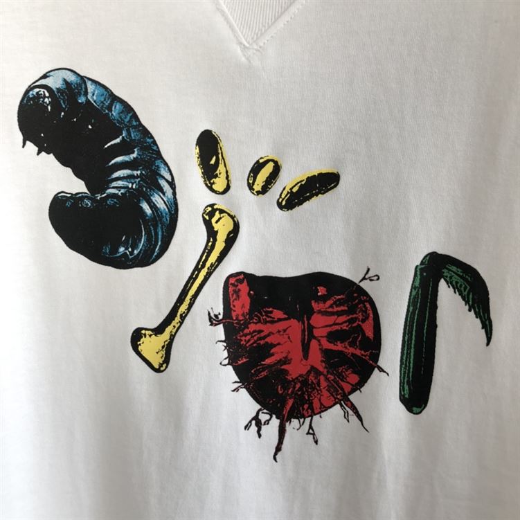 DIOR OVERSIZED CACTUS JACK DIOR T-SHIRT – DOT009