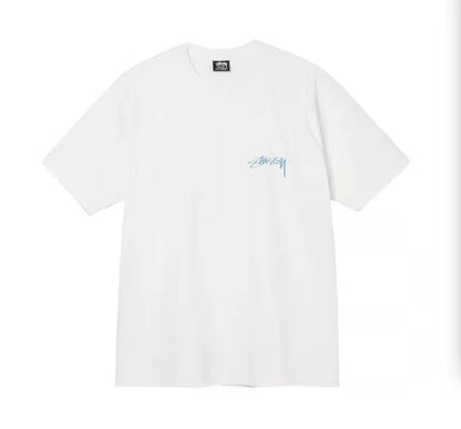 STUSSY STATUE PIG. DYED TEE