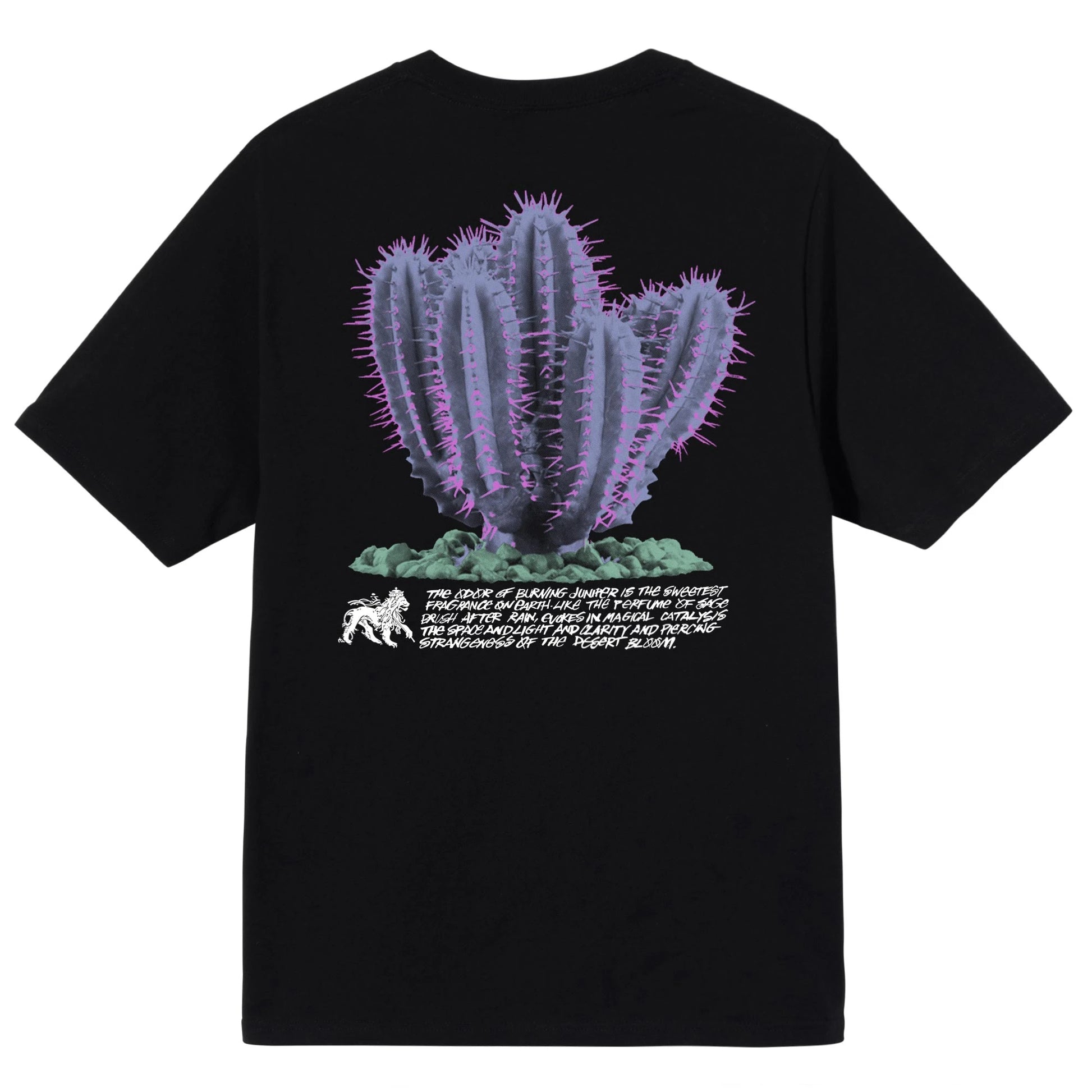 STUSSY DESERTBLOOM TEE