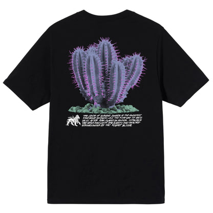 STUSSY DESERTBLOOM TEE