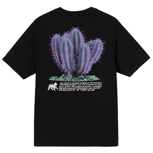 STUSSY DESERTBLOOM TEE